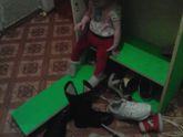 Хозяюшка