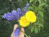 Вот такая красота от сына ??