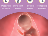 Пошла 41 неделька 😃