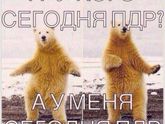 Пдр