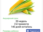 Ну вот и мы