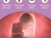Как быстро летит время???