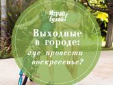 Жду всех в гости