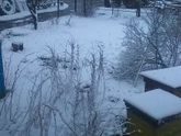 А я то думала пришла весна