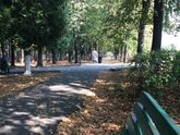 Прогулка