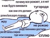 40 недель