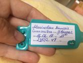 Моя кроха)