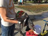Прогулка