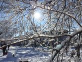 Наконец и до нас зима добралась❄️☃️