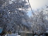 Погода супер))) погуляли отлично 😊