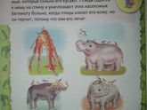 4ю тетрадь выкладываю но уже о животных. Была о птицах , море , земле.
