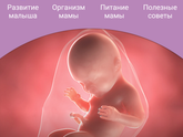 Уже завтра пдр