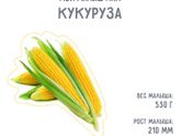 24 недельки моему пузу😍😍😍