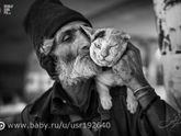 Мастер и кот