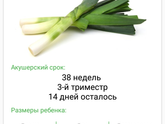 38 неделек!
