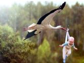 Желаю всем, кто хочет 👪