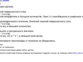 Мазок на флору! Кто разбирается в этом