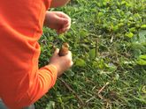 Пытаюсь отвлечься. Рыбалка с сыном на даче родителей