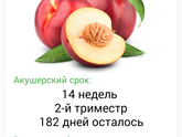14 недель уже!