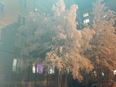 Красота