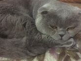 Знаки и приметы)