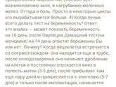 Тест на овуляцию