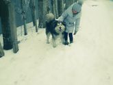 Гуляли сегодня?с моими принцессами.