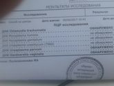 Инфекции