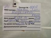 История моих вторых родов