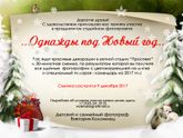 Новогодний фотопроект в Липецке