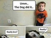 ?