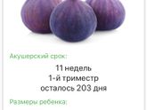 Наша инжиринка)
