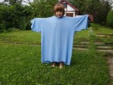 Синяя бабочка)