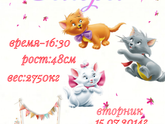 Метрика