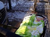 Гуляем в мороз?