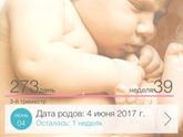 38 -39 недель беременности
