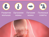 36нед2дн