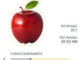 Второй триместр💕скрининг