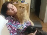 Весенние коты . Посвящается всем кто любит котиков ))))