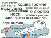 Я ору ????