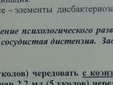 Промежуточный результат. Алалия