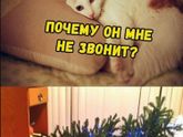 Улыбайки