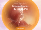 ???Выходной???