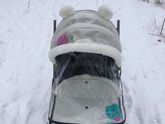 Санки)