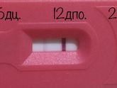 Тест Эви