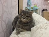 Корм.