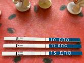 Тест на 9 дпо (фрау)