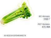 Мы совсем уже большие
