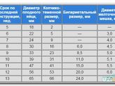 Срок зачатия