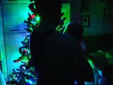 Пережили хлопушки